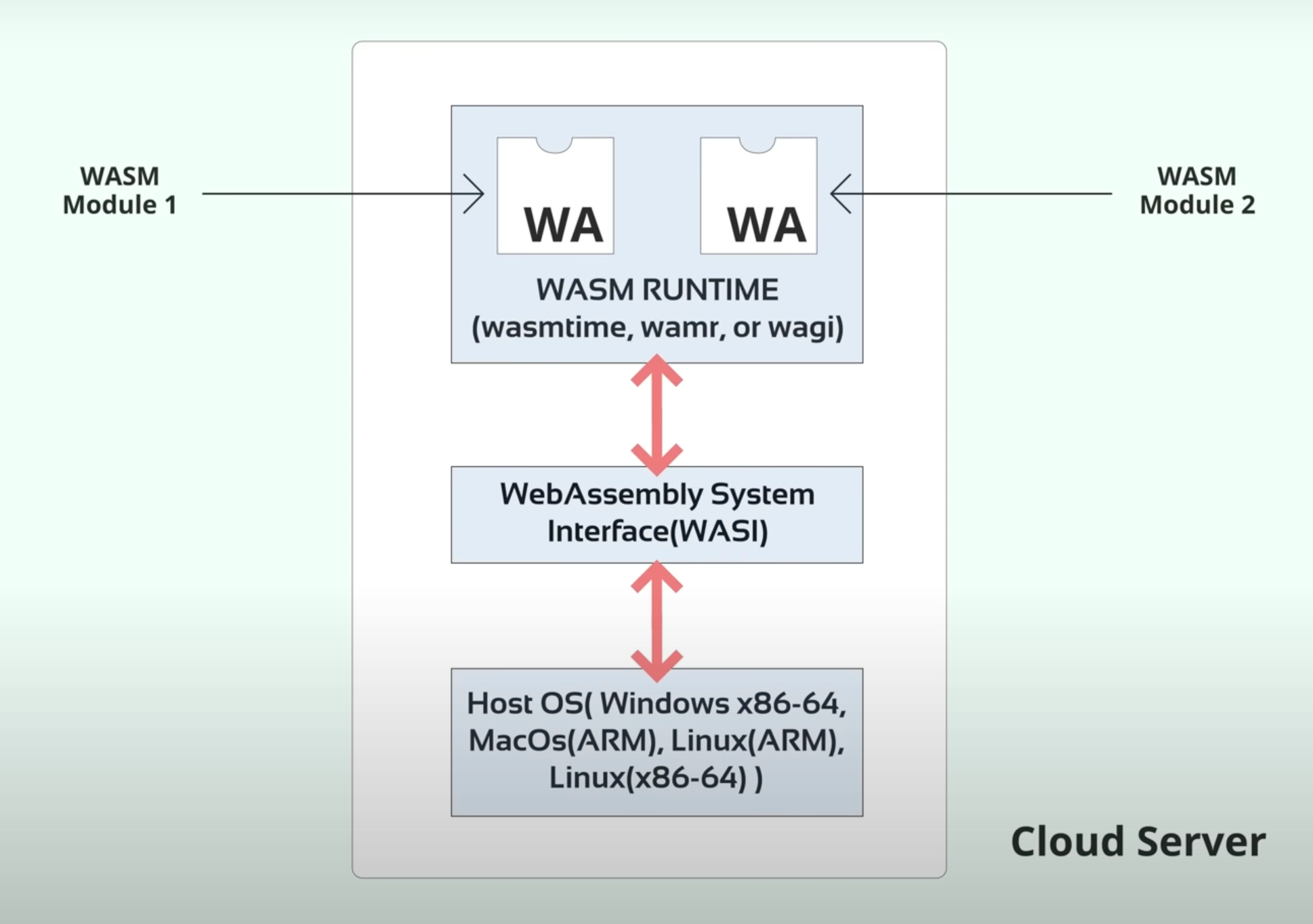 WASM runtime executing modules outside the browser